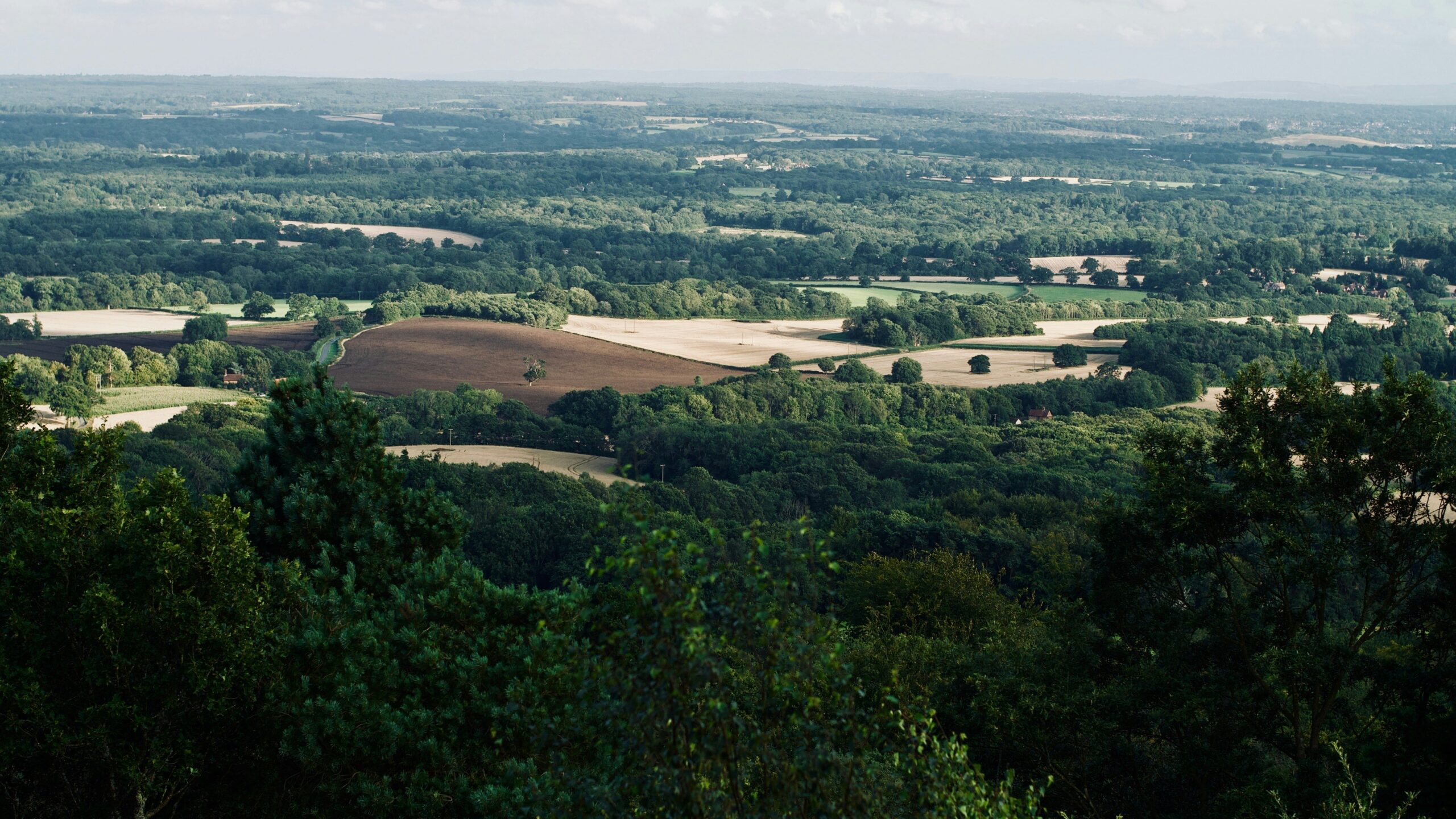 Guildford Surrounding Area